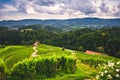 Famous heart shaped road at vineyards ÃÂ piÃÂnik in Slovenia. Rows vineyards near Maribor, close to the Austrian